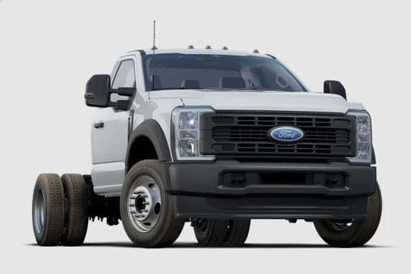 Ford Vechicles