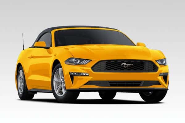 Ford Vechicles