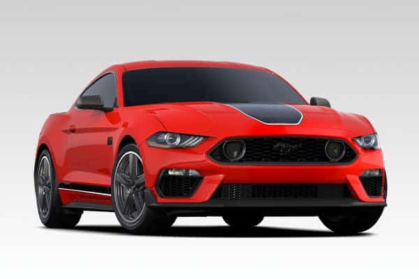 Ford Vechicles