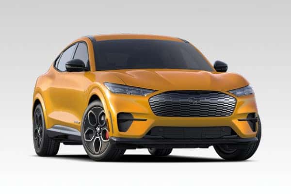 Ford Vechicles