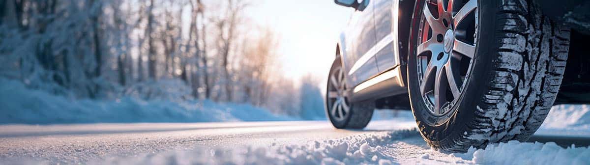 Ford Fleet Winter Tires